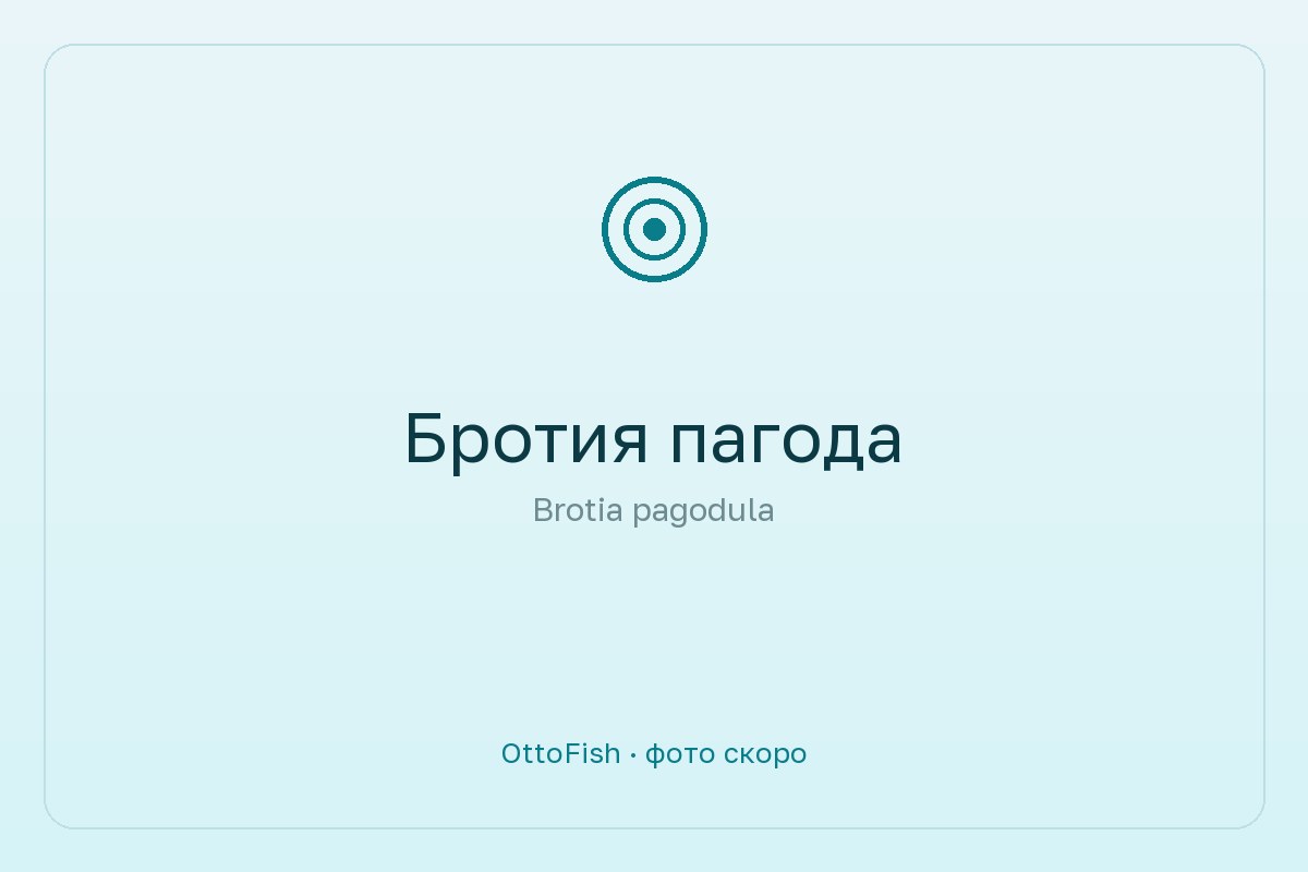Бротия пагода