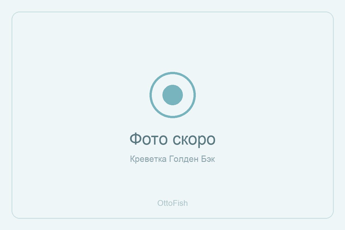 Креветка Голден Бэк
