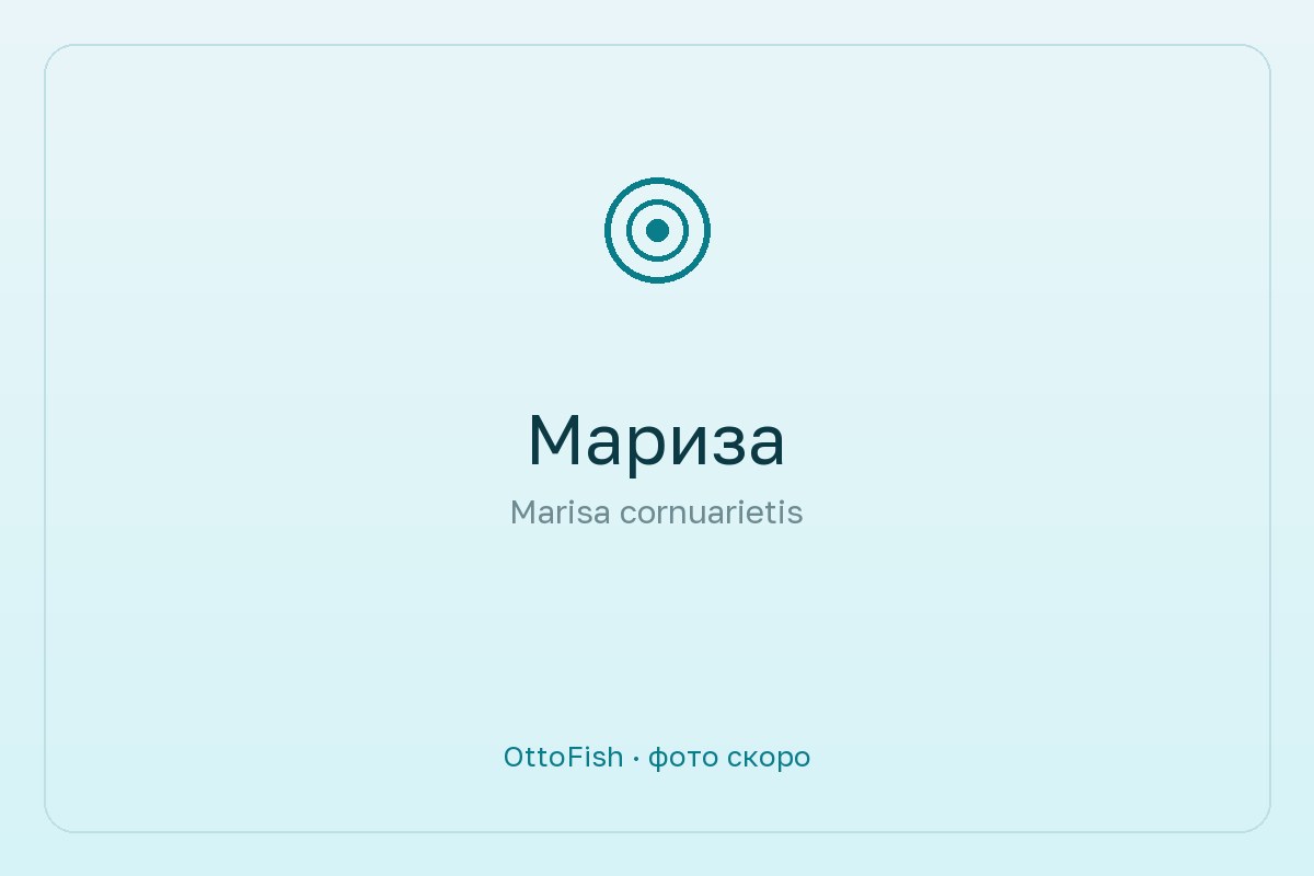 Мариза