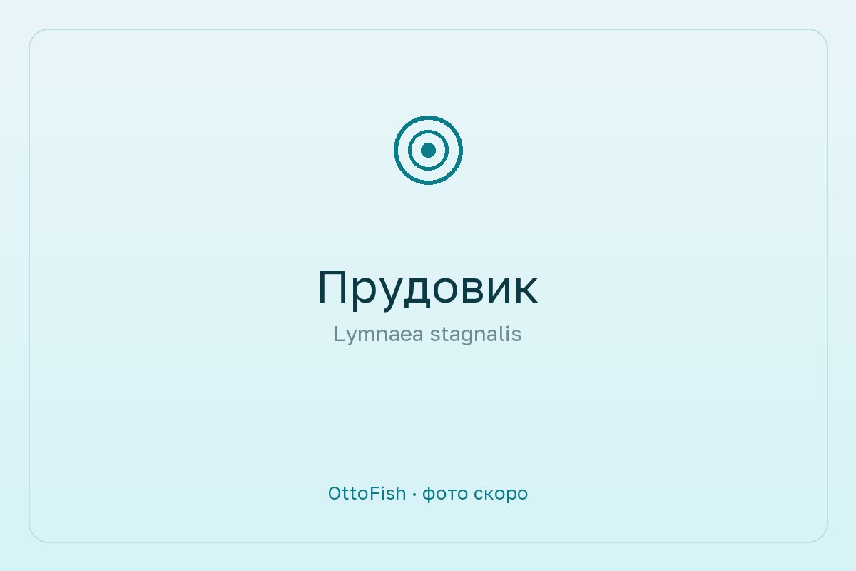 Прудовик
