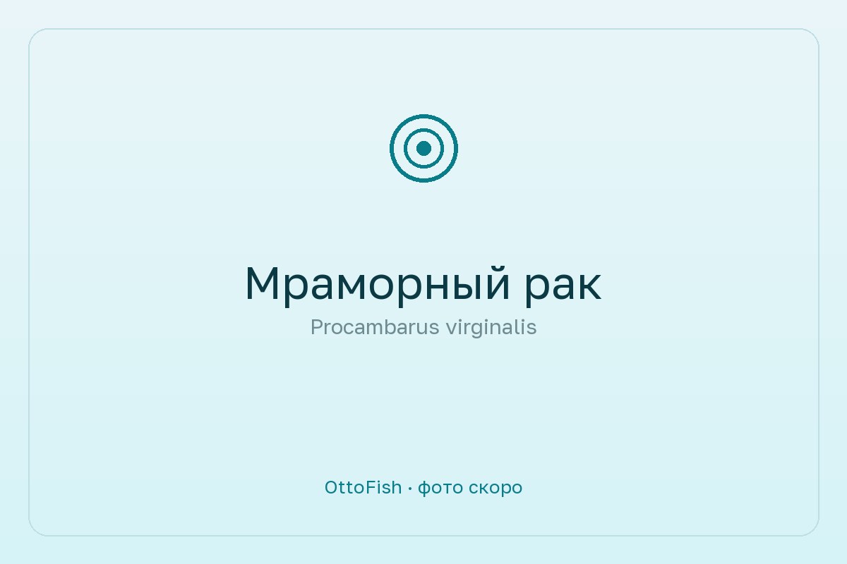 Мраморный рак